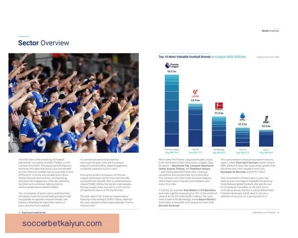 足球队员故事聚焦个人成长与成就，展现球员独特历程与职业生涯发展趋势。